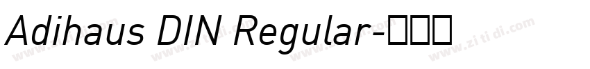 Adihaus DIN Regular字体转换 Adihaus DIN Regular字体转换